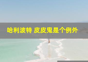 哈利波特 皮皮鬼是个例外